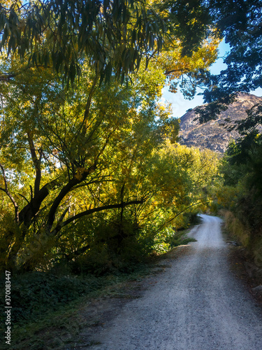 Twin Rivers Track  Queenstown  South Island  New Zealand