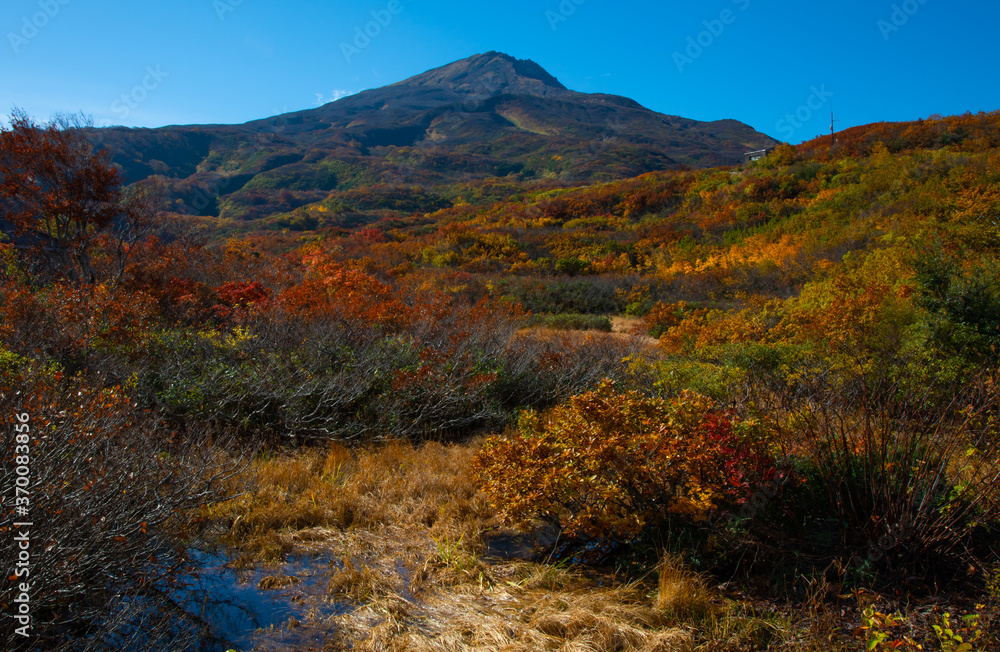 紅葉の鳥海山と湿原と池塘 紅葉の鳥海山と湿原と池塘