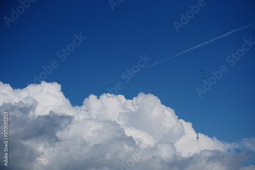 積雲、蜻蛉、飛行機雲