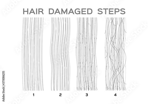 damaged hair steps vector