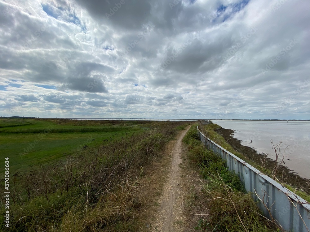 Fototapeta premium View of the broads National Park from the river bank in a cloudy day shoot taken against the sun with a dramatic sky and strong shadow.