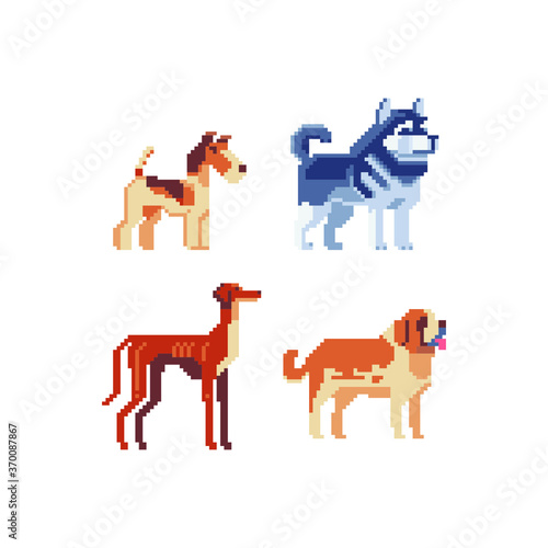 Dog breeds. Pixel art icons set. Logo pet shop. Stickers and embroidery design. St Bernard and husky. Game assets. Isolated vector illustration. 