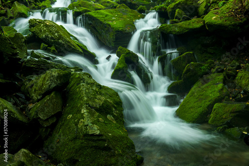 Mossy valley.Beautiful mountain stream with moss covered stone,