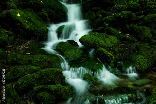 Mossy valley.Beautiful mountain stream with moss covered stone 