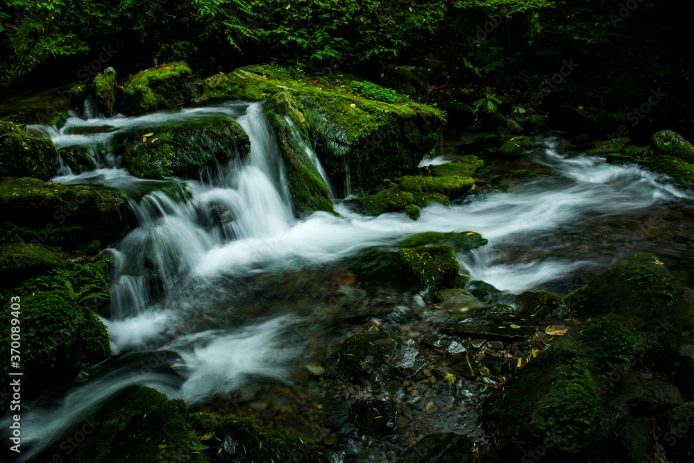 Fototapeta premium Mossy valley.Beautiful mountain stream with moss covered stone,