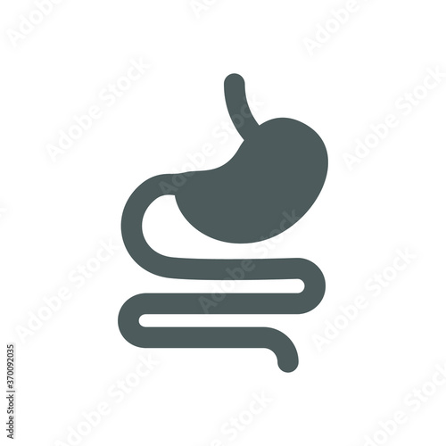 Digestive system. Human stomach and gastrointestinal system Infographic.  Stomach or gastric and Colon tract as internal organ.Vector illustration. Design on white background. EPS 10