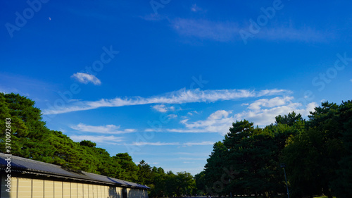 夏の京都御苑の空模様 © 八十二 高橋