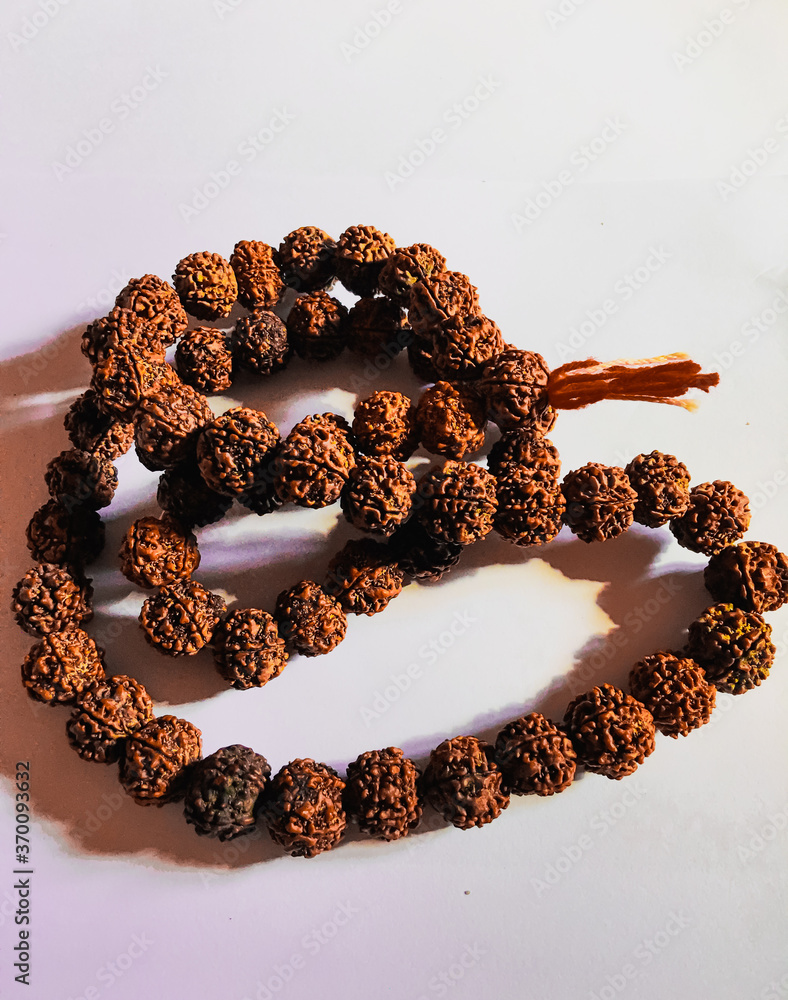 Rudraksha japa Mala or Prayer beads made from the seeds of the rudraksha tree on white background ,108 beads . Rudraksha japa Mala or Prayer beads made from the seeds of the rudraksha tree on white background ,108 beads .