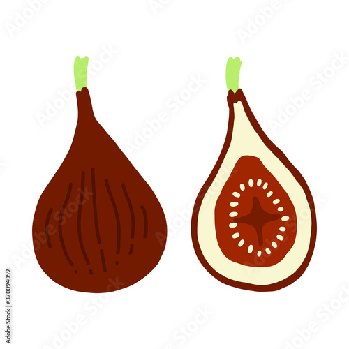 いちじくの手書きカラーイラスト figs flat illustration vector icon