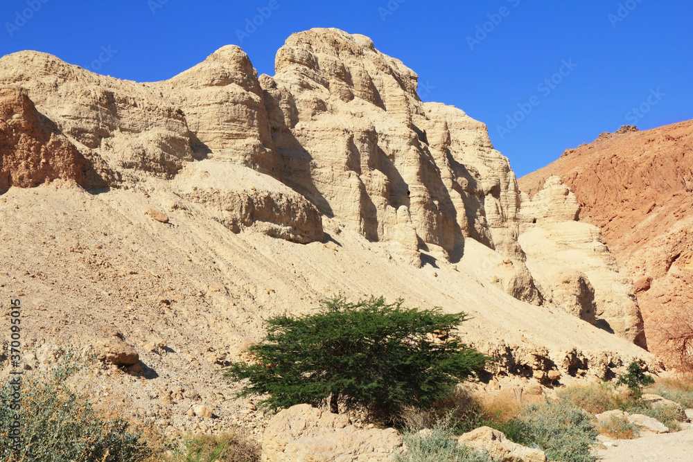  Dead Sea, Israel