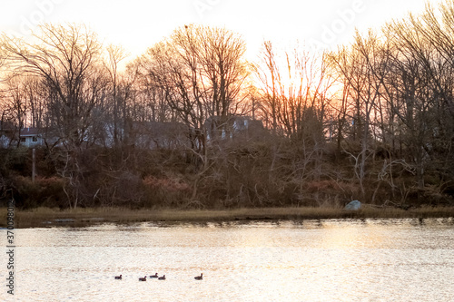 Wallpaper Mural Sunrise over the Newport River from the Naval War College in Newport, RI Torontodigital.ca