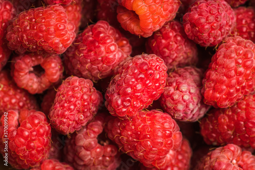 Freshly harvested raspberry. Selective focus. Shallow depth of field.