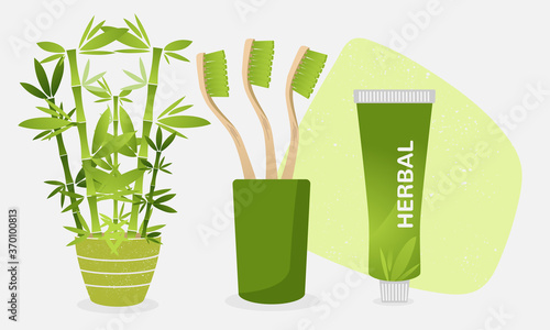 Set of green wooden natural bamboo toothbrushes with toothpaste. Showing a bamboo plant. Dental health concept illustration. Flat vector.