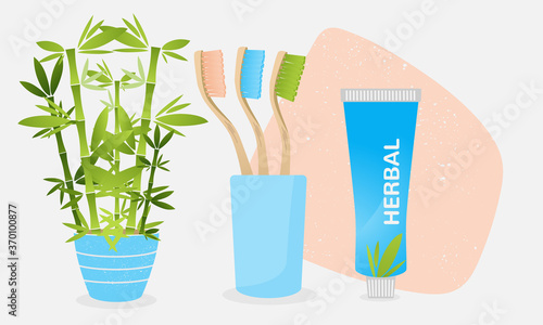 Set of colored wooden natural bamboo toothbrushes with toothpaste. Showing a bamboo plant. Dental health concept illustration. Flat vector.
