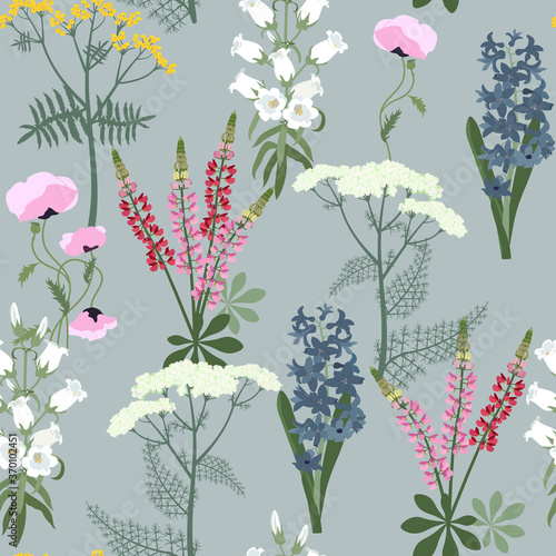 Seamless vector beautiful illustration with wildflowers