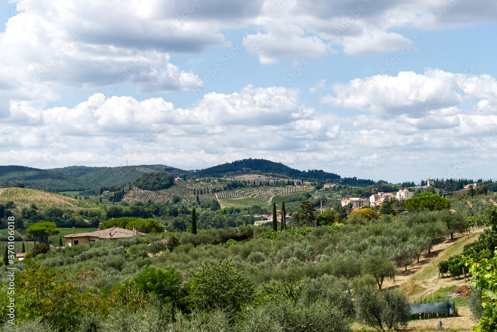 Panoramic view of the splendid and luxuriant countryside of Siena. Tuscany, Italy