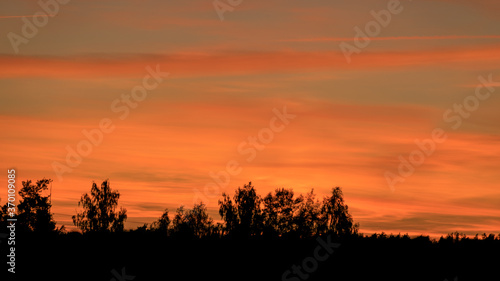 colorful sunset skies and black tree silhouettes, summer