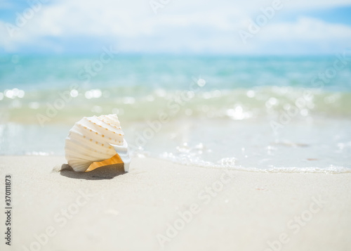 Sea shell on sand beach with blur image of blue sea and blue sky background. ocean pattaya thailand. for travel summer holidays.