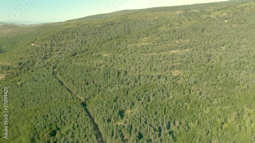 Vista aerea de pinares