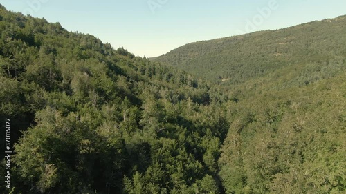 Vista aerea de pinares