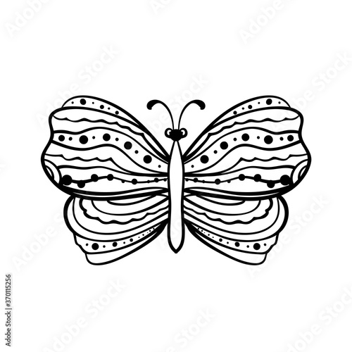 Butterfly illustration. Coloring book page element. © pictures_for_you