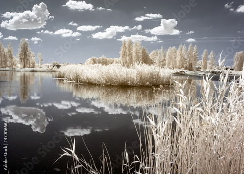 Obraz na plátne summer landscape, infrared photo snowy tree amazing nature lake reflection, unus