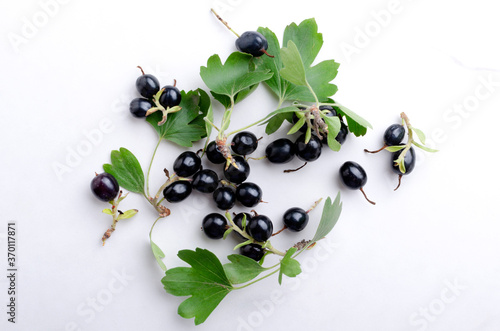Top view of fresh and sweet blackcurrant and green leaves on the white surface