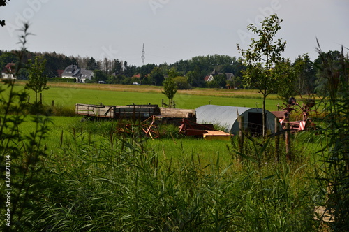 Landschaft an der Alten Leine, Ahlden, Niedersachsen