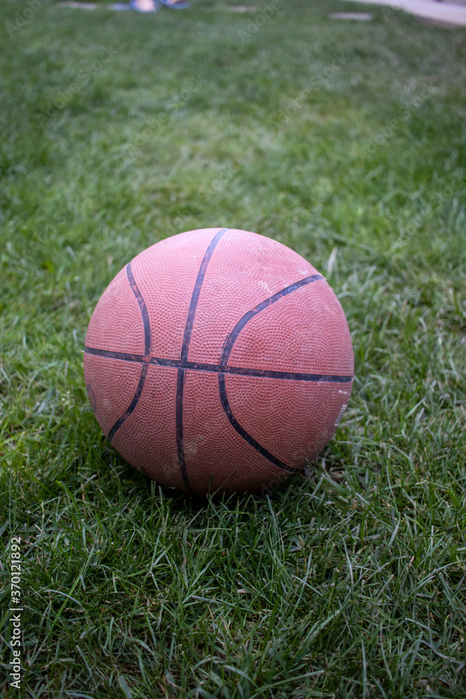 Basketball laying on grass in a park AM Basketball laying on grass in a park AM