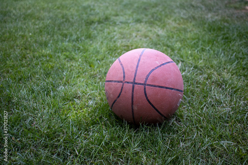 Basketball laying on grass in a park AM