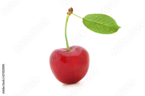 Berry of sweet cherry with leaf isolated on a white background