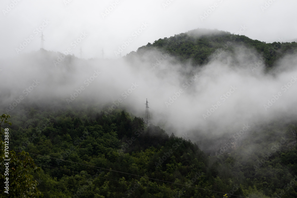 Power lines inside a forest on a mountain with fog AM
