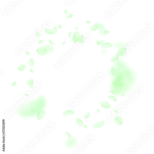 Green flower petals falling down. Good-looking rom