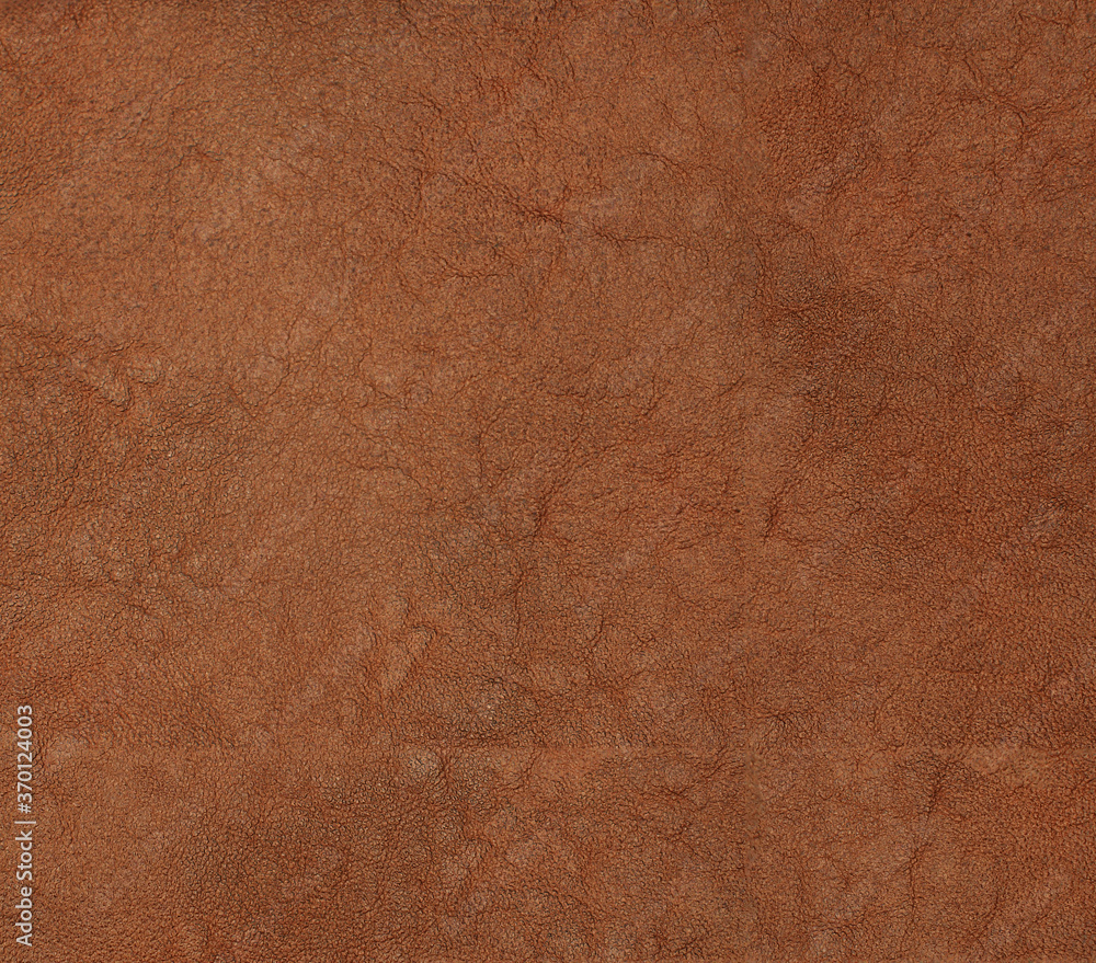 Fototapeta premium Natural leather structure material abstract texture background