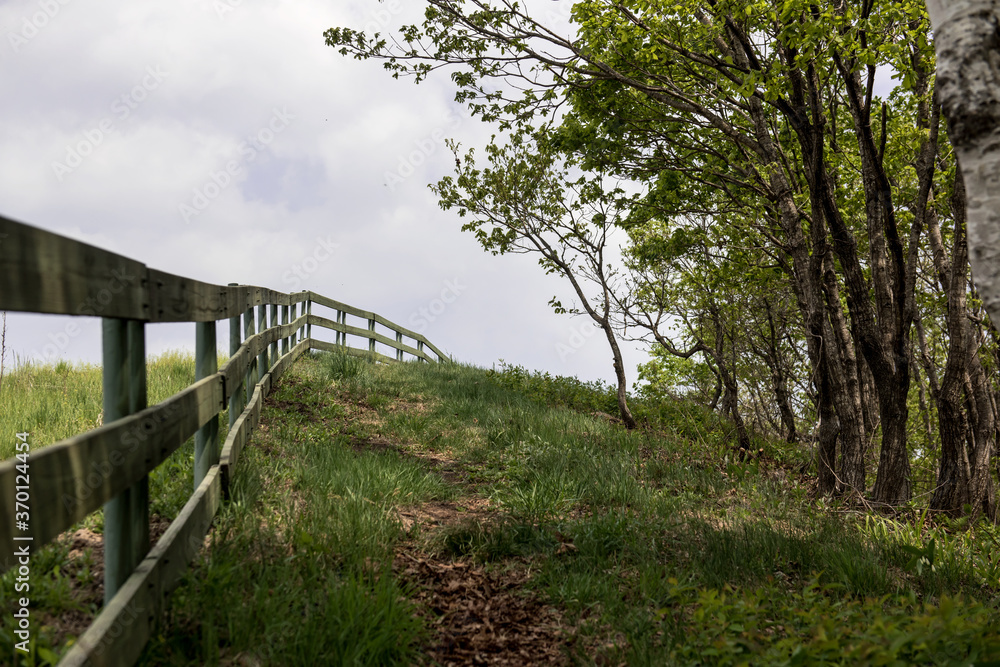 Green pastures of sheep ranch landscape at early summer background blue sky.