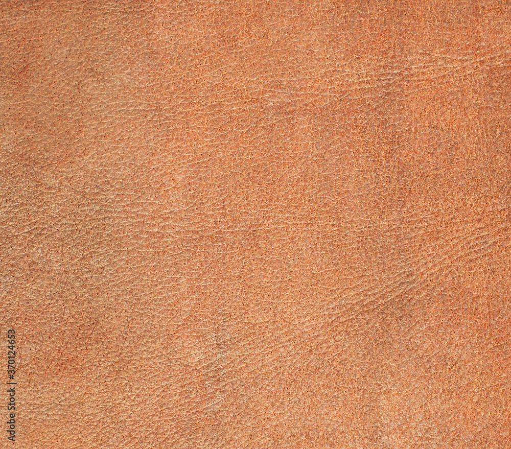 Fototapeta premium Natural leather structure material abstract texture background