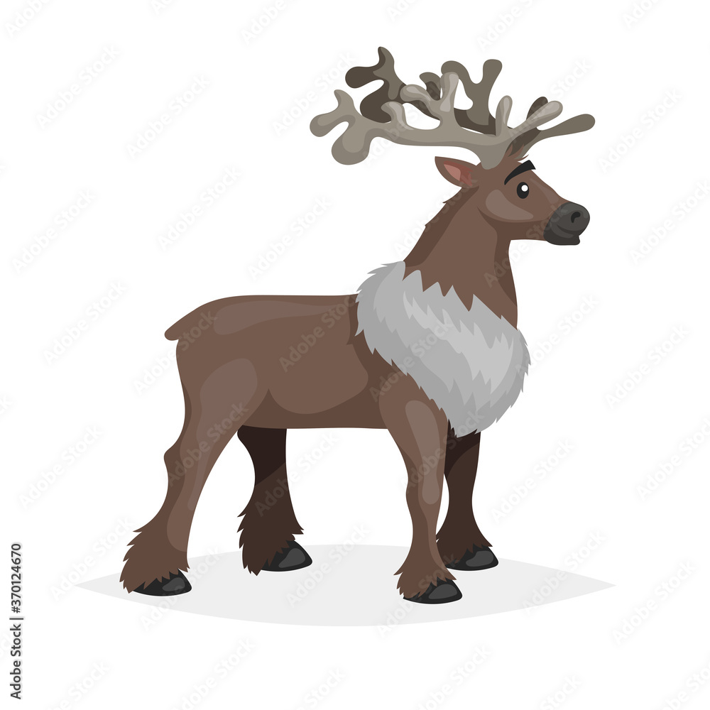Cute santding reindeer. Polar animal cartoon illustration. Flat style design. Best for kid educationand Christmas designs. Vector drawing isolated on white background.