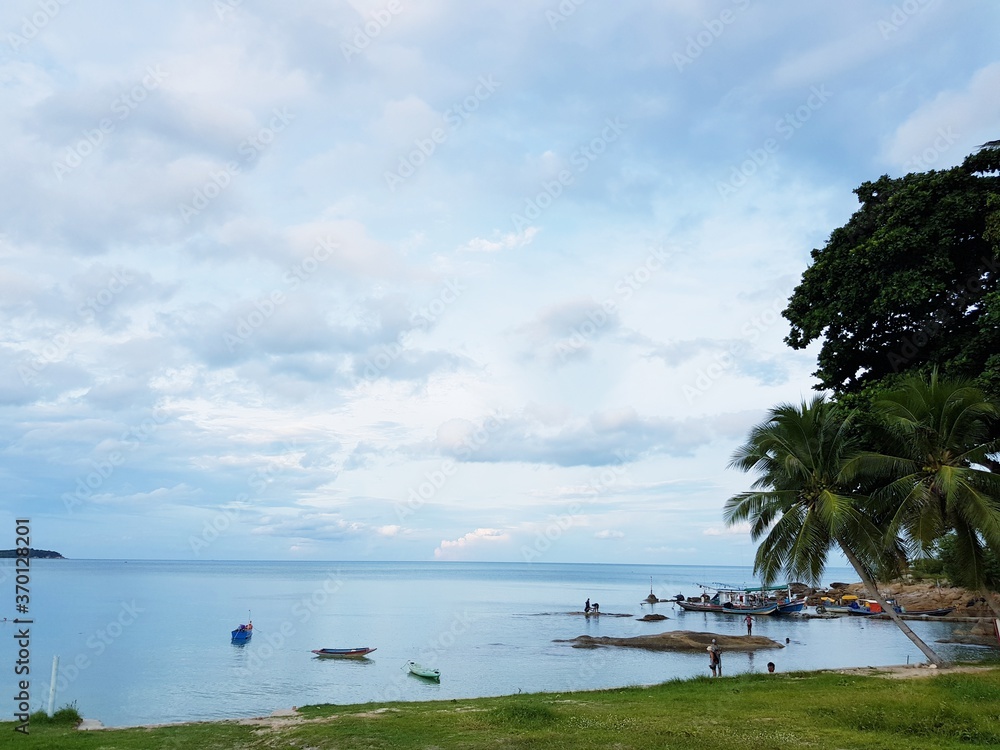 tropical beach with palm trees