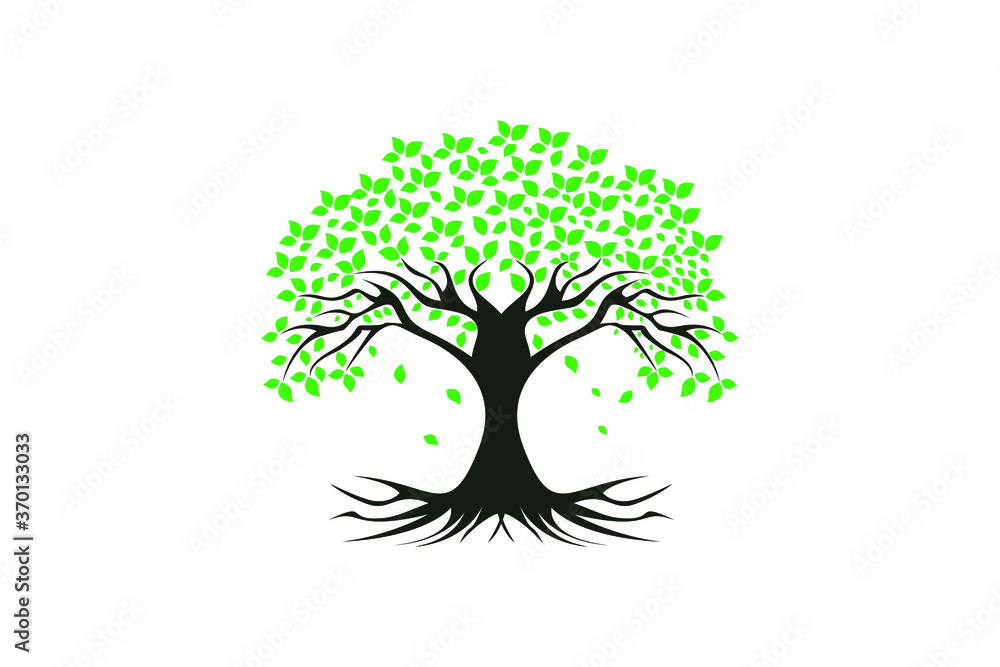 Fototapeta premium Natural Tree Logo 