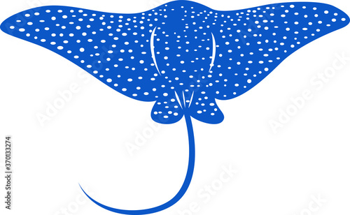 Eagle Ray fish Back View