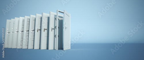 White Doors choice