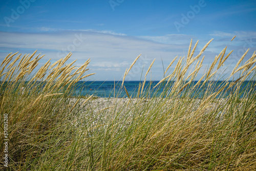 Strand mit D  nengras am Campingplatz von Niobe auf der Insel Fehmarn an der Ostsee in Schleswig-Holstein