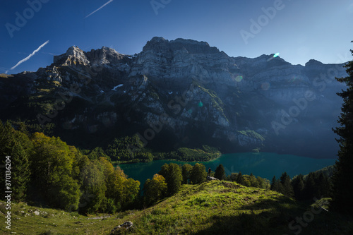 Late afternoon view over Swiss mountain lake. Meadow and tree line in the foreground, mountain face in the background.