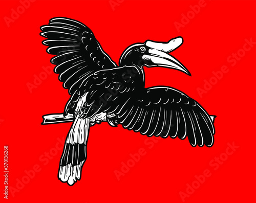 vector illustration of hornbills bird