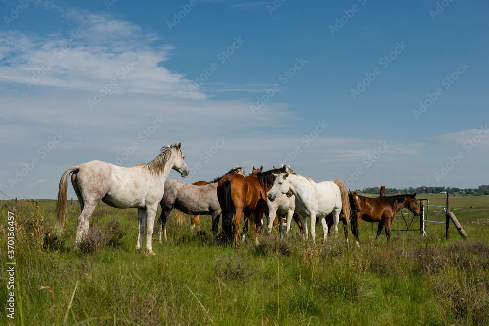 A farm where people hike in the Free State in South Africa