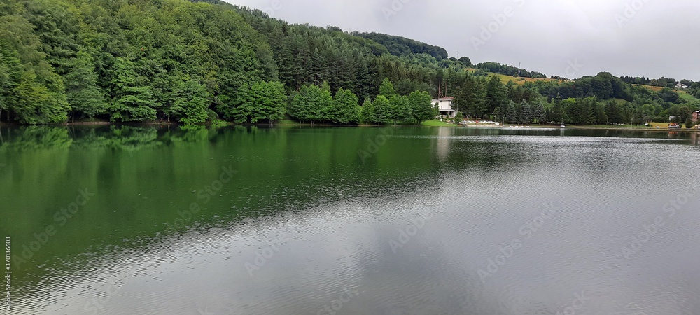 Fototapeta premium lake and forest