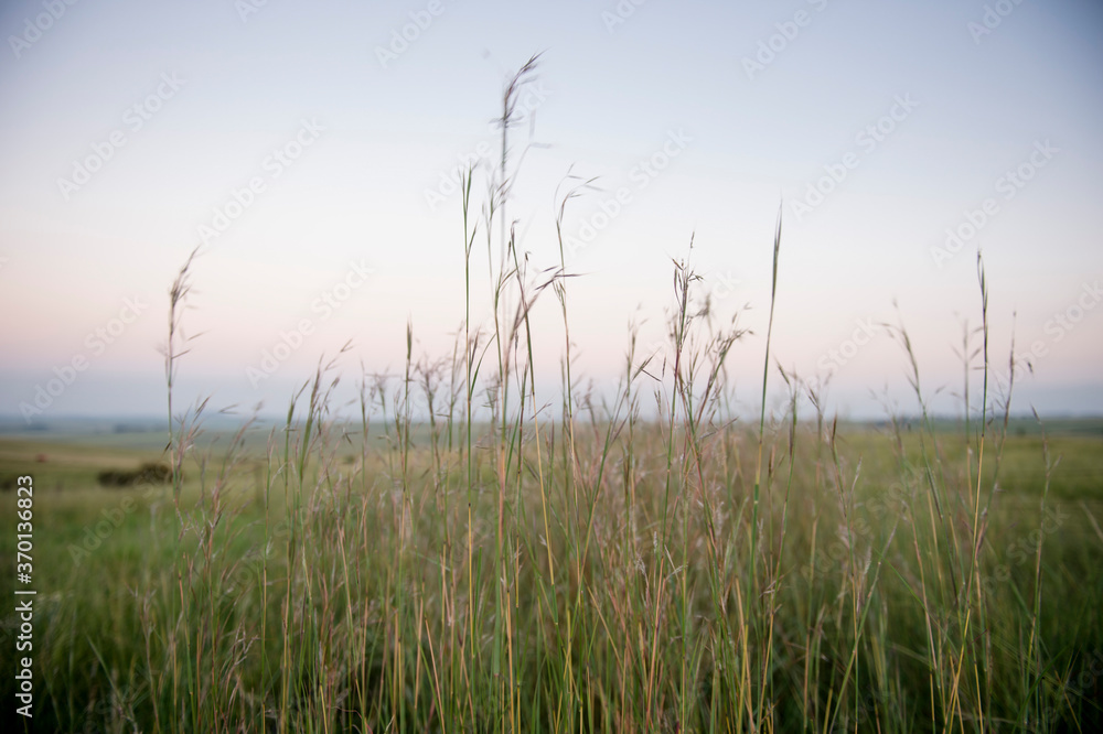 A farm where people hike in the Free State in South Africa A farm where people hike in the Free State in South Africa
