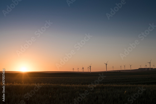 A wind farm during sunset. Turbines generating electricity. Green energy
