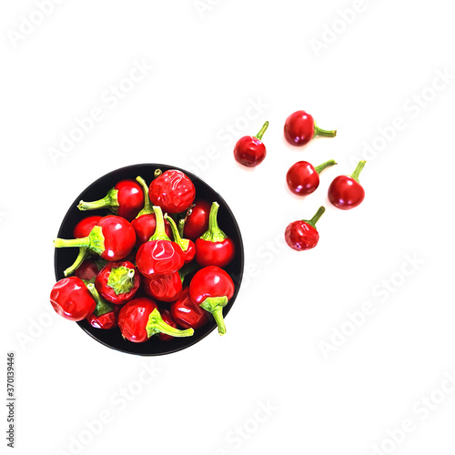 Tableau sur toile Peperoncini rossi rotondi fondo bianco
