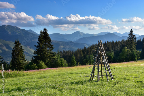 Fototapeta Naklejka Na Ścianę i Meble -  Ostew, Kozioł - Tyczki na siono - podhale